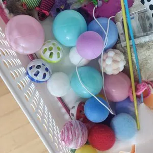 베스트 후기 이미지