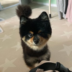 베스트 후기 이미지