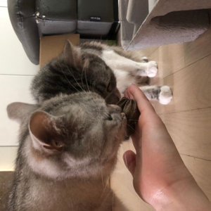 베스트 후기 이미지