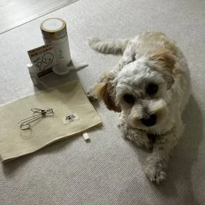 베스트 후기 이미지