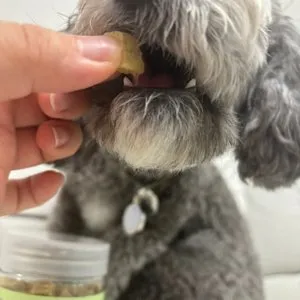 베스트 후기 이미지