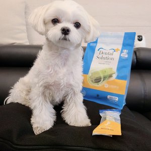 베스트 후기 이미지