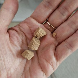 베스트 후기 이미지
