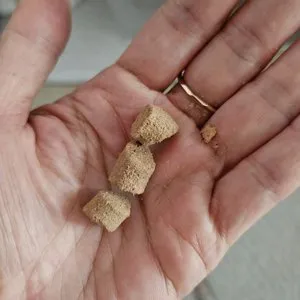 베스트 후기 이미지