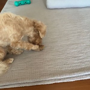 베스트 후기 이미지