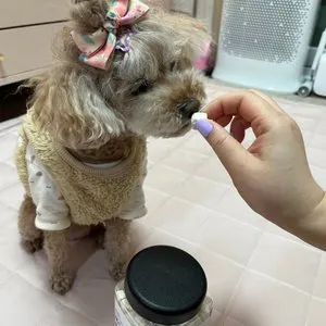 베스트 후기 이미지