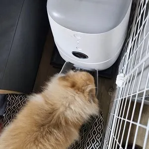 베스트 후기 이미지