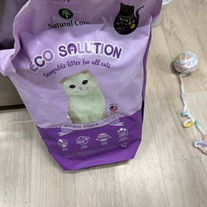 베스트 후기 이미지