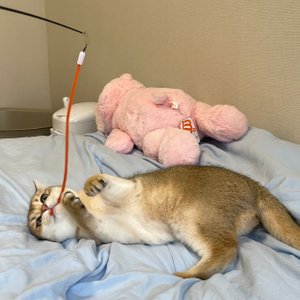베스트 후기 이미지
