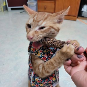 베스트 후기 이미지