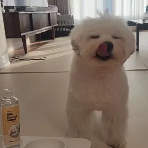 베스트 후기 이미지