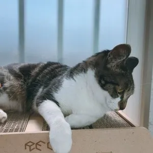 베스트 후기 이미지