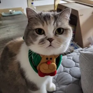 베스트 후기 이미지