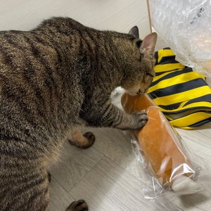 베스트 후기 이미지