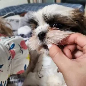 베스트 후기 이미지