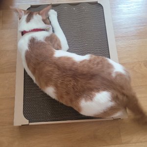 베스트 후기 이미지