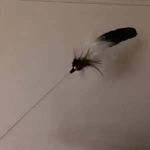 베스트 후기 이미지