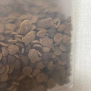 [사료샘플] 벤티 캣 그레인프리 요로&염증관리 40g 베스트 후기 이미지