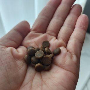 베스트 후기 이미지