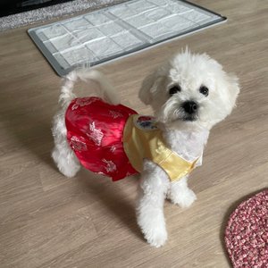 베스트 후기 이미지