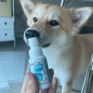 [무료배송] 날라주 챙겨멍냥-R 뿌려먹이는 기관지협착증 영양제 45ml*30일 베스트 후기 이미지