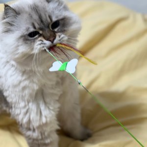 베스트 후기 이미지
