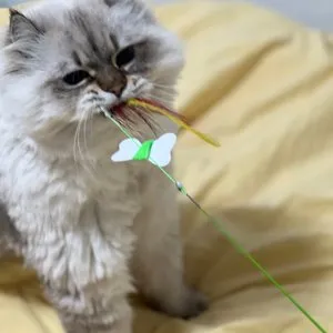 베스트 후기 이미지