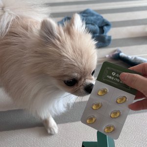 베스트 후기 이미지