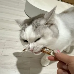 베스트 후기 이미지