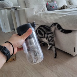 베스트 후기 이미지