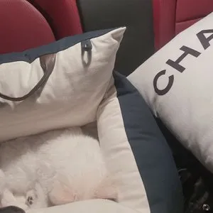 베스트 후기 이미지