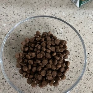 [사료샘플] 내추럴발란스 독 LI 그레인프리 연어&고구마 레시피 스몰브리드 40g 베스트 후기 이미지