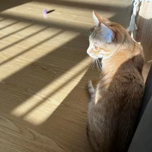 베스트 후기 이미지