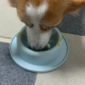 베스트 후기 이미지