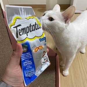 베스트 후기 이미지