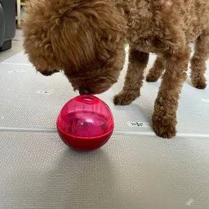 베스트 후기 이미지