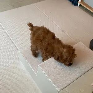 베스트 후기 이미지