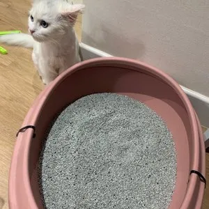 베스트 후기 이미지