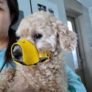 베스트 후기 이미지