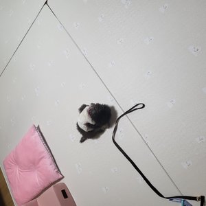 베스트 후기 이미지