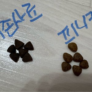베스트 후기 이미지