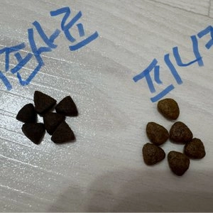 [사료샘플] 피니키 독 하이포알러지 연어 35g 베스트 후기 이미지