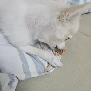 베스트 후기 이미지