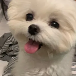 베스트 후기 이미지