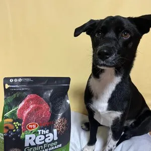 베스트 후기 이미지