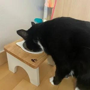 베스트 후기 이미지