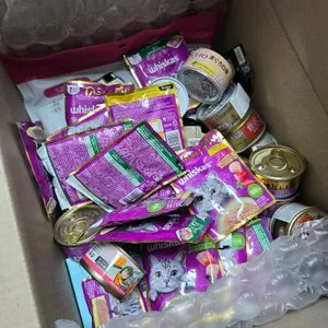 베스트 후기 이미지