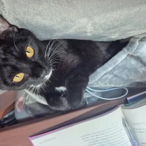 베스트 후기 이미지