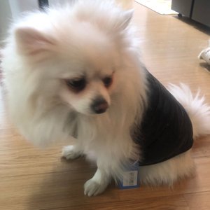 베스트 후기 이미지