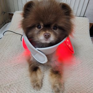 베스트 후기 이미지